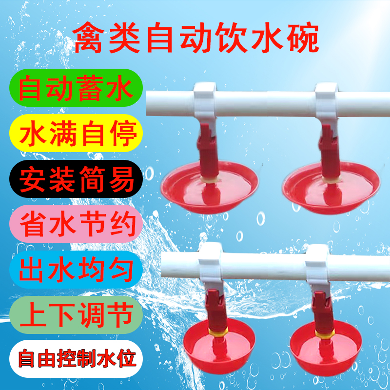 新型自动饮水碗 鸡鸭鹅禽类自动饮水器饮水碗 接水杯水碗养殖