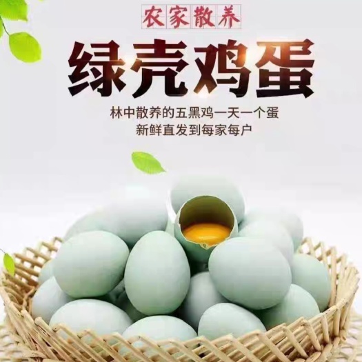 甘谷县绿壳蛋