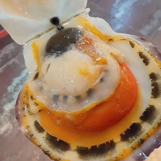 长海县虾夷扇贝  规格齐全全国发货