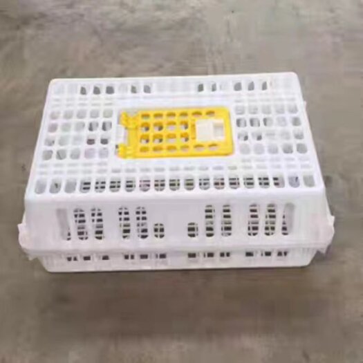 沧县鸡笼周转箱家用大号加厚防摔养殖运输塑料鸡鸭鹅兔笼