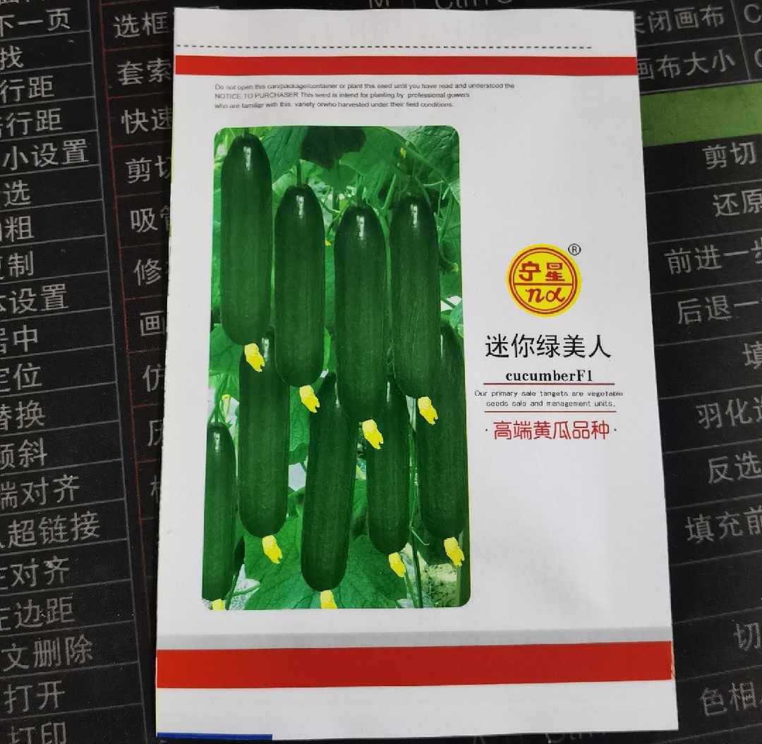 水果黄瓜种子无刺绿秀水果黄瓜种子小黄瓜种子节节瓜