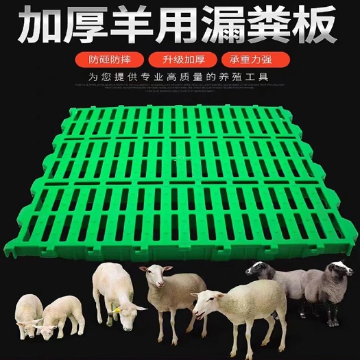 羊床漏粪板羊舍加厚塑料接粪板羊圈养羊专用产床漏粪板养殖场设备