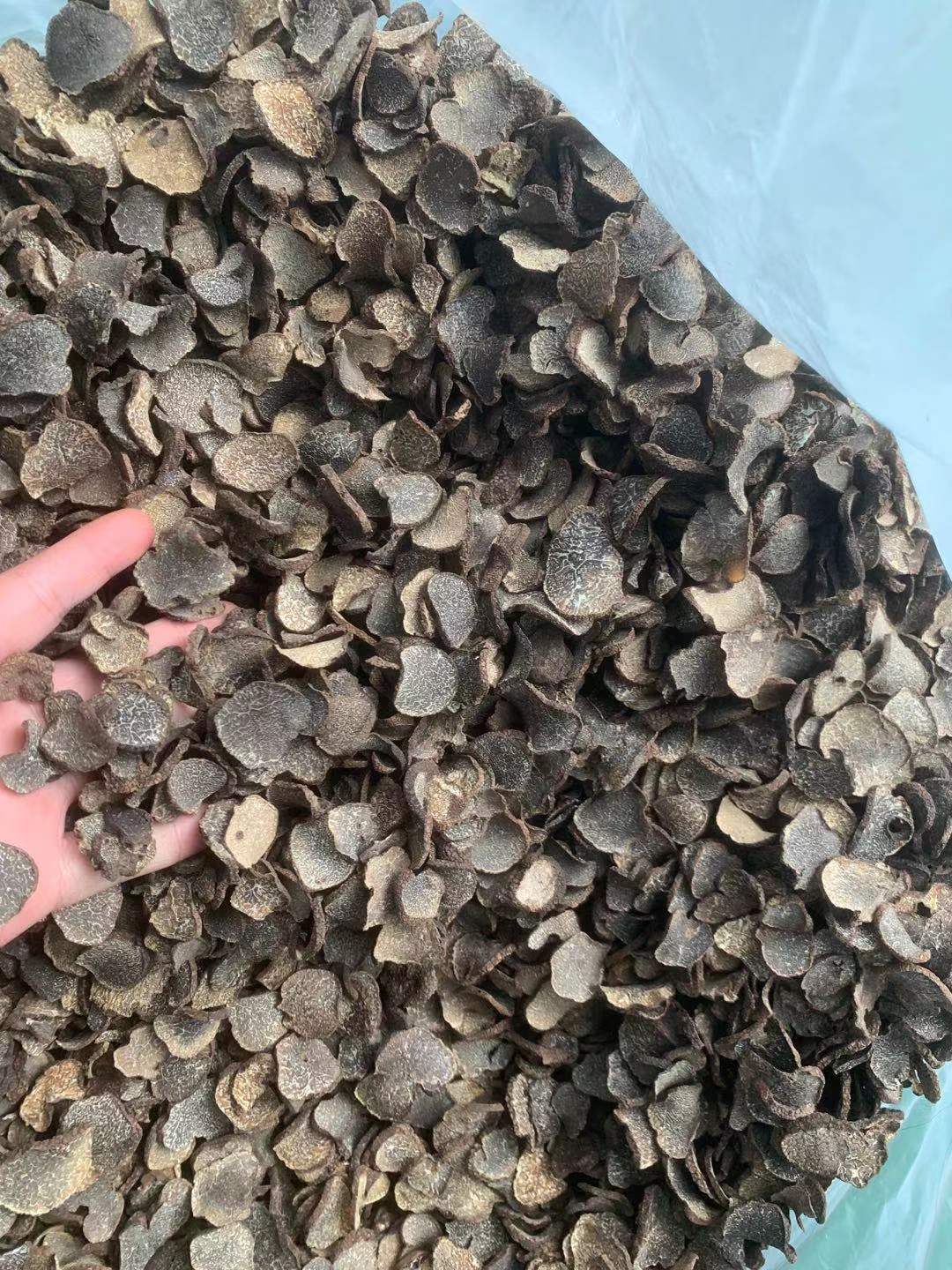 昆明野生黑松露干片食用菌干货各种规格量大从优