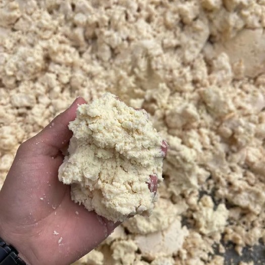 新鲜豆奶渣