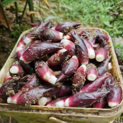 阳荷、高山富硒应季蔬菜、炒菜、凉拌、泡菜，口感脆嫩、清香回味