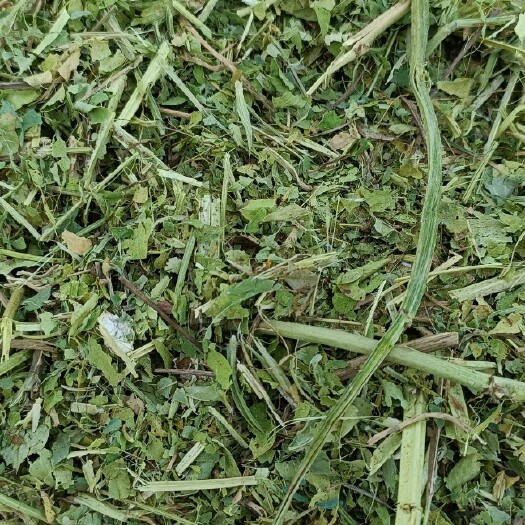 正阳县花生秧  花生叶粉  麦秸杆  牛羊兔鹅草