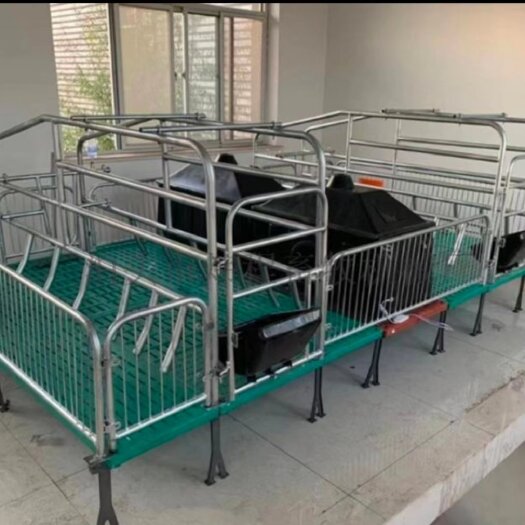 沧县母猪产床 双体产床 单体产床母猪 养猪设备 器械 定位栏 保