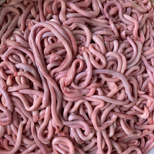 成都去皮去油的精猪鞭