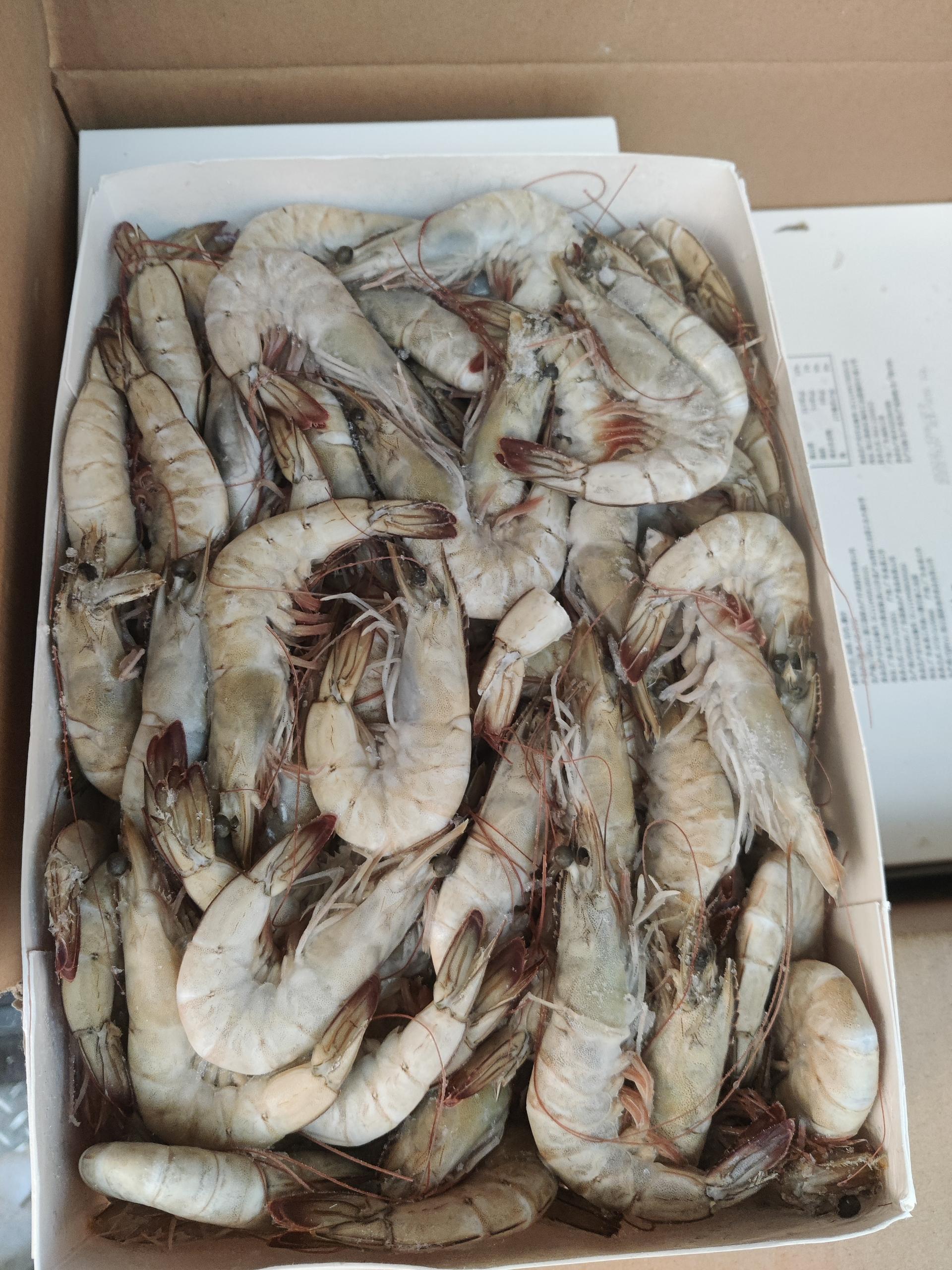 国联盐冻南美白虾大虾2kg包装