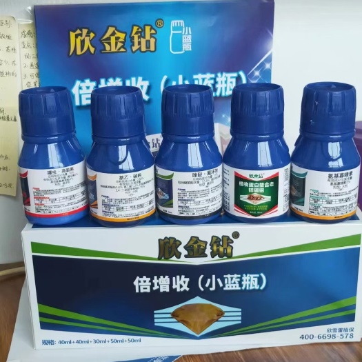 欣金钻小蓝瓶倍增收，让农民省时省力省心增产300斤不是梦