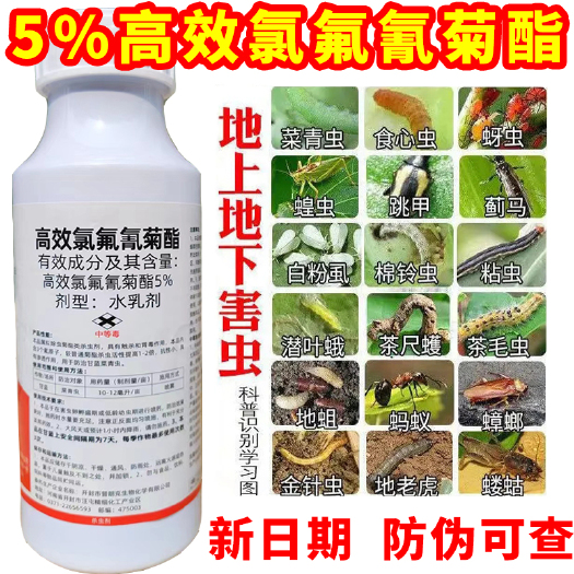 5%高效氯氟氰菊酯农药杀虫剂果树蔬菜蚜虫菜青虫食心虫土壤杀虫