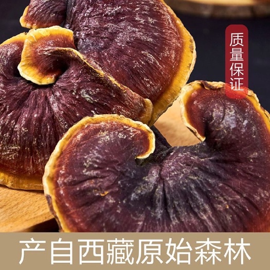 亳州正宗西藏金边赤灵芝正品非金边灵芝整枝包邮泡茶泡酒可切片