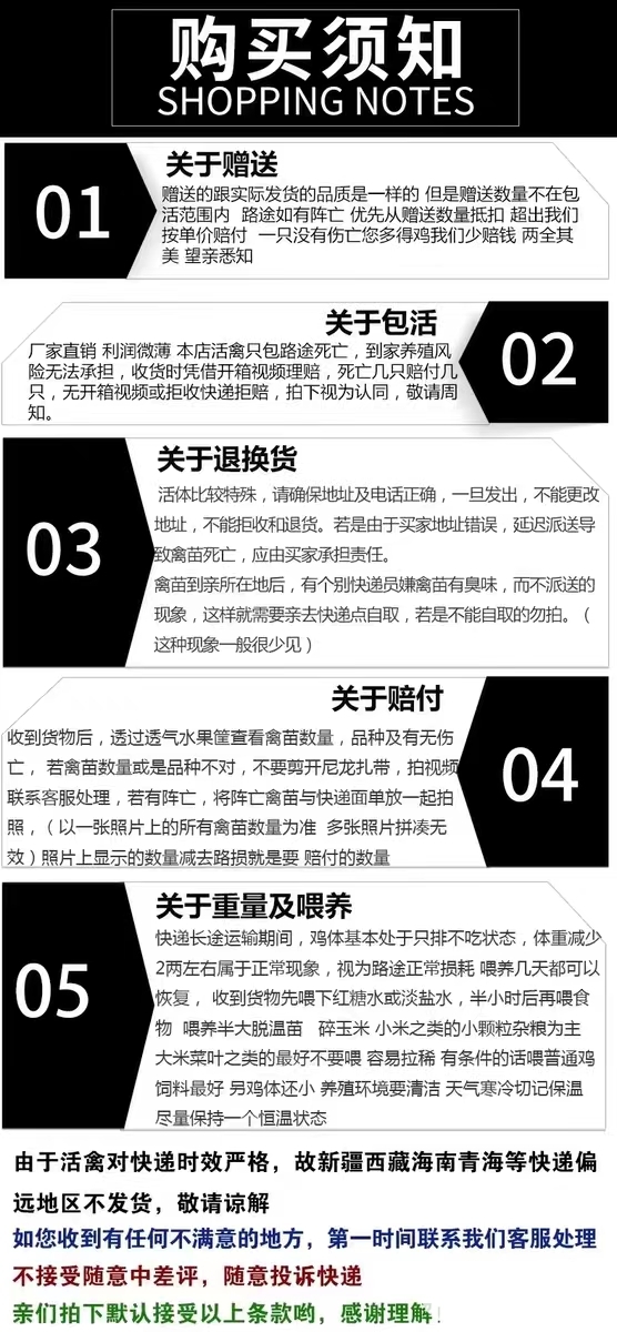 孵化场基地直销优质脱温青脚土鸡鸡活苗厂家直销品种正包邮