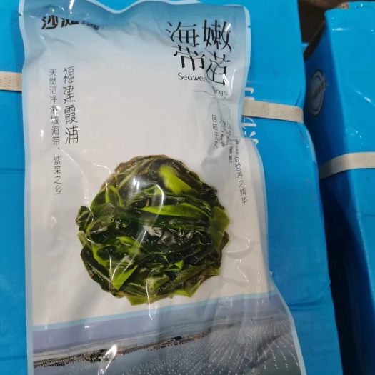 佛山海带苗
