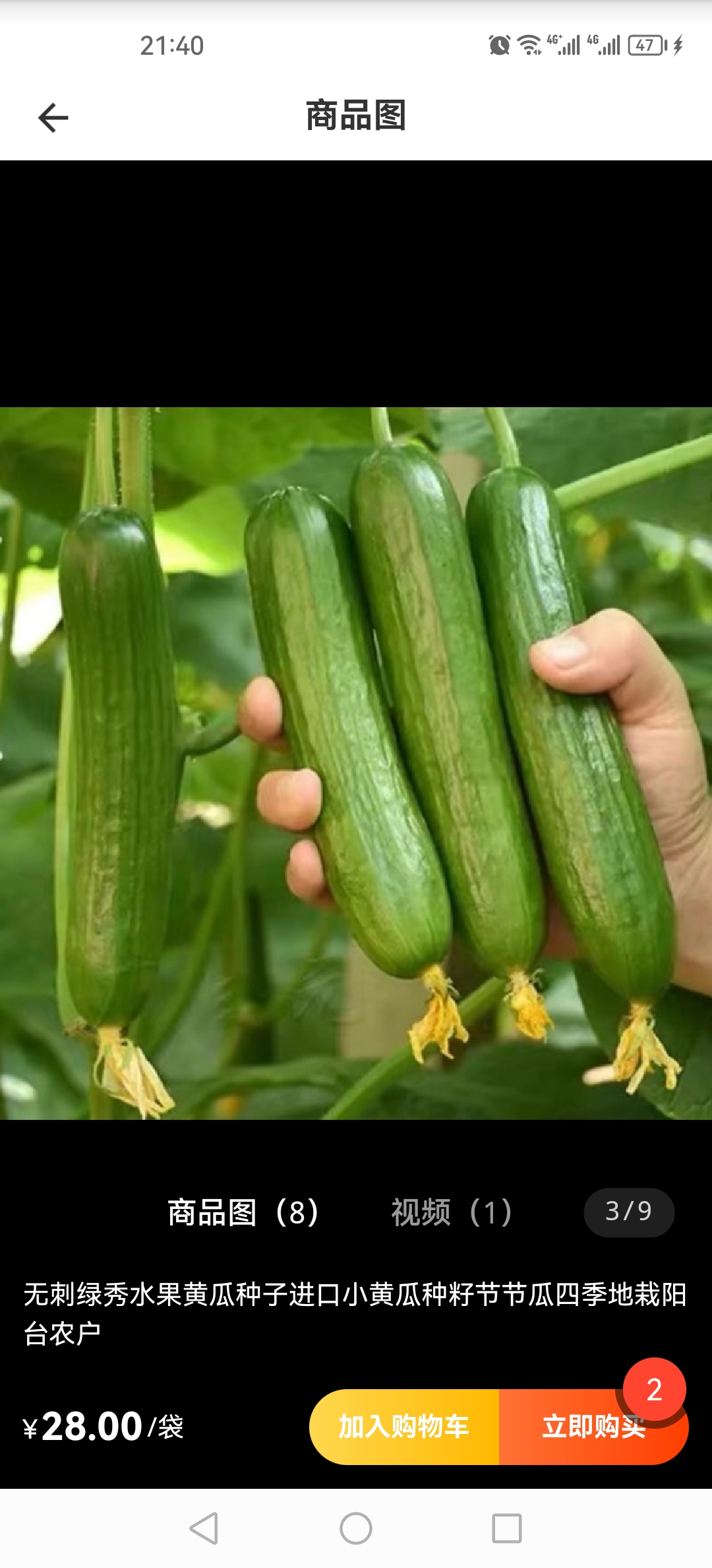 水果黄瓜种子无刺绿秀水果黄瓜种子小黄瓜种子节节瓜