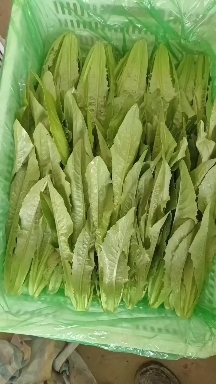 邯郸叶类蔬菜