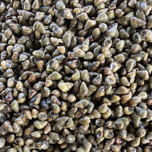 鱼台县1.3以上成品，每天5/10吨，量大可谈