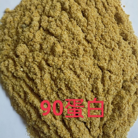 石家庄饲料虾