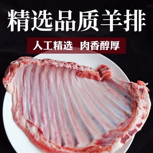 内蒙草原羊排新鲜羊肋排原切法式羊排清真羊肉