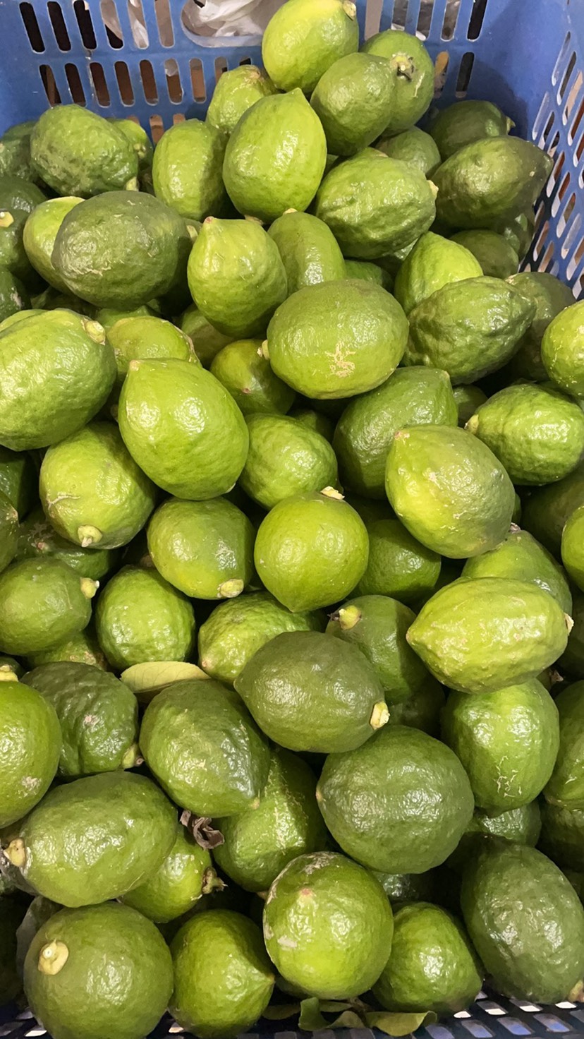 广东香水柠檬一级果香味足原产地发货