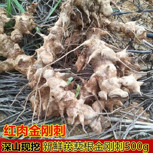 连州市新鲜菝葜500g新鲜金刚刺中草药材金刚藤铁菱角乌鱼刺铁刺苓山