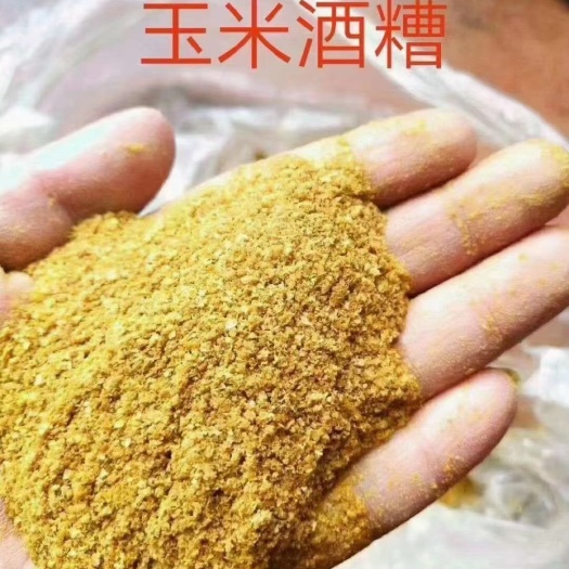 石家庄玉米酒糟