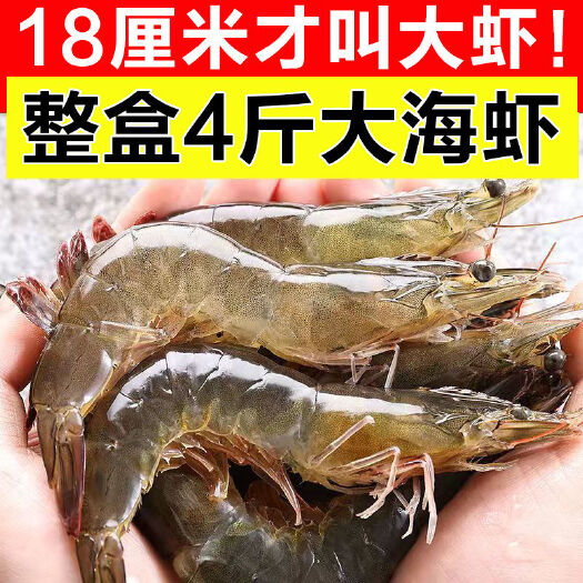 青岛青岛大虾超大水冻大号海虾鲜活冷冻白虾对虾新鲜海捕大虾3.4斤