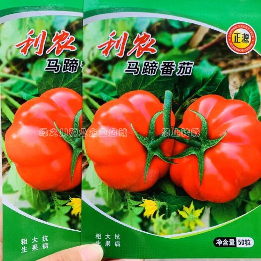 沭阳县利农大果马蹄番茄种子杂交种基地专用甜味足口感好大红西红柿种子