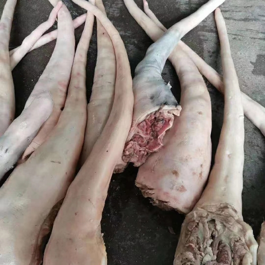 广州牛尾