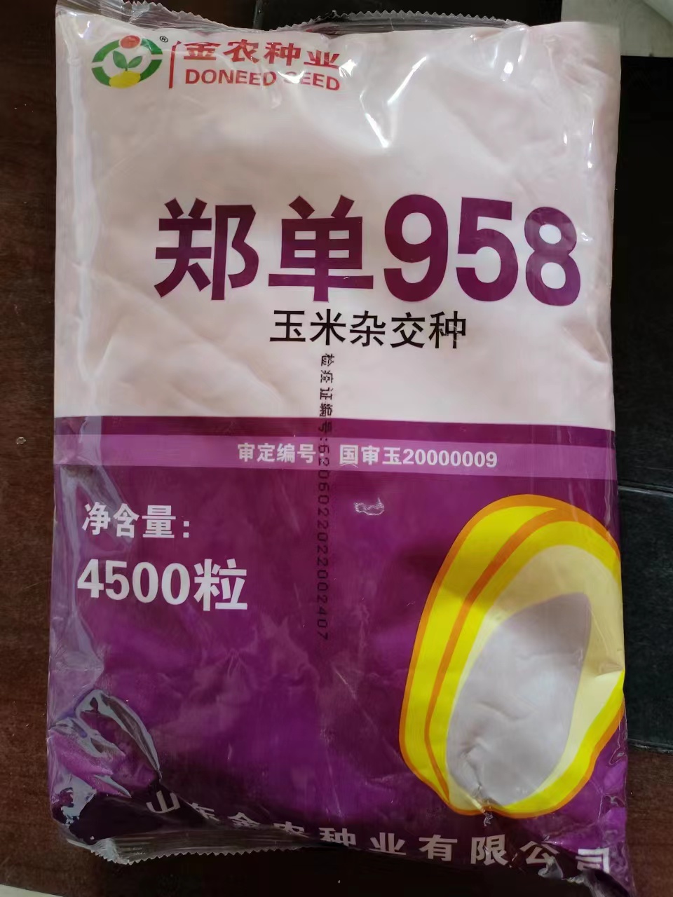 金乡县郑单958玉米种