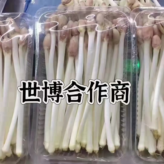 潍坊花生芽