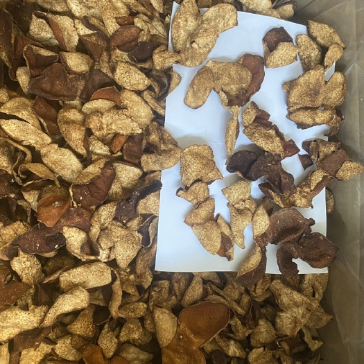 陈皮  广西散皮