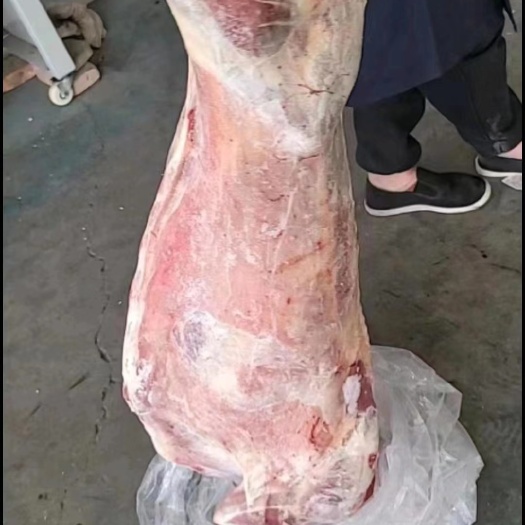 张家口加工羊白条