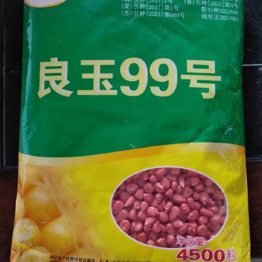 金乡县登海良玉99玉米种