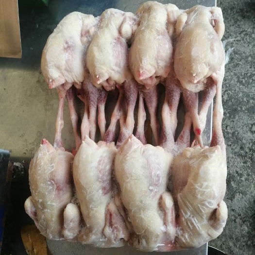 保定白条鸡，三黄鸡