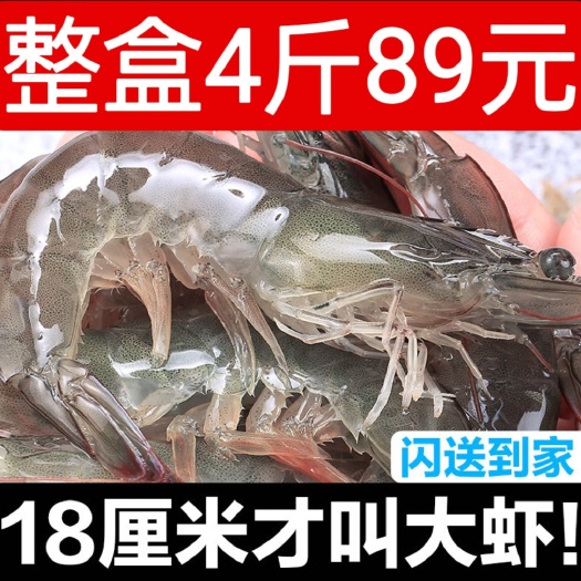 青岛中国对虾青岛大虾鲜冻虾顺丰包邮鲜活冷冻虾青虾白虾基围虾批发