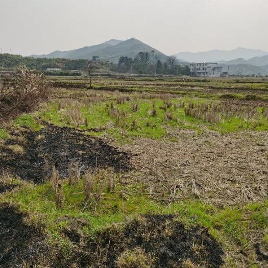 湖南农村种植地出租流转