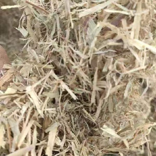 镇平县小麦秸秆 玉米秸秆 花生秧等 上等牛羊牧草 筛土 除尘 风选