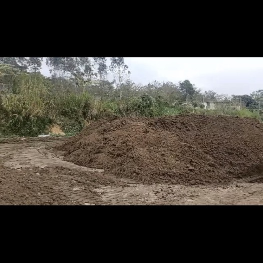 揭阳大量出售牛粪猪粪半干湿全干有肥原料养蚯蚓￼