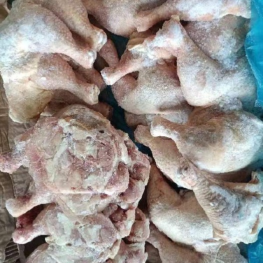 郑州箱装10公斤排腿