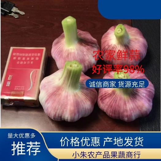 中牟县紫红皮大蒜，产地直供！常年供应！（电商）（商超）对接全国
