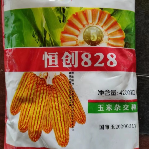 恒创828玉米种