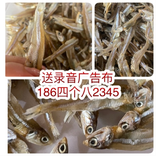 广州淡干深海小鱼干地摊公干鱼银鱼干水产干货鲈鱼干沙丁鱼肉角鱼鲳鱼