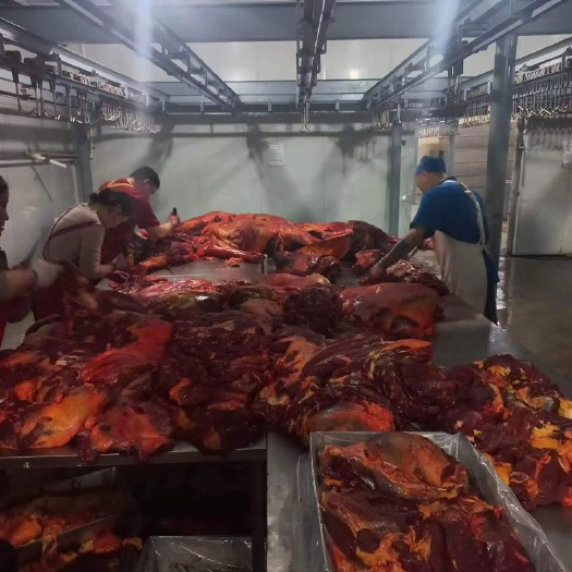 额济纳旗蒙古国现杀马肉（剔骨）