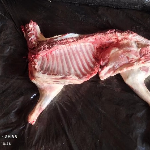 会宁县甘肃家养羊肉