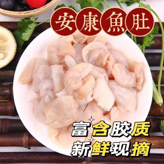 连云港新冻安康鱼鱼肚鱼鳔熟冻巴沙鱼肚肚花胶鱼泡商用批发烧烤火锅捞汁