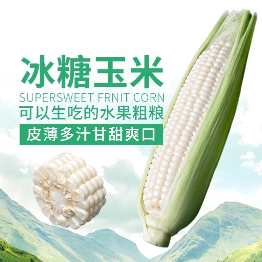 生食爆浆牛奶水果玉米