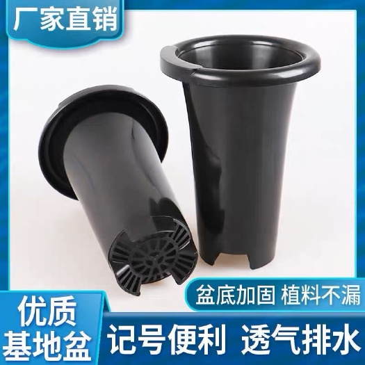 南靖县兰花专用盆 10个塑料兰花盆批发中号兰花花盆透气排水兰草盆