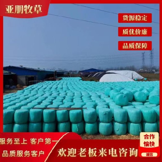 临泉县玉米秸秆，发酵气味浓郁，酒香味十足，牛羊好草料