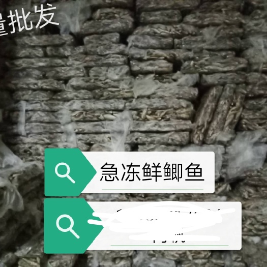 太和县冷冻 冻板鲫鱼  开肚去鳞  大量有货